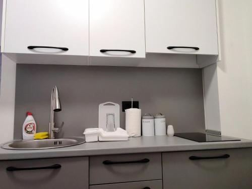 Η κουζίνα ή μικρή κουζίνα στο Apartman Palermo