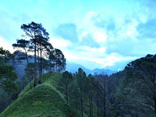 une colline verdoyante avec des arbres et des montagnes en arrière-plan dans l'établissement Gopi Homestay & Restaurant - Jim Corbett, à Tota Ām
