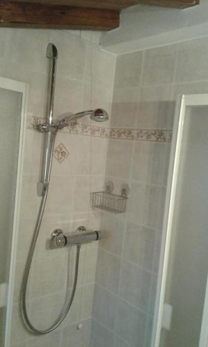 a shower with a shower head in a bathroom at Da Lilly Apartment in Lucca