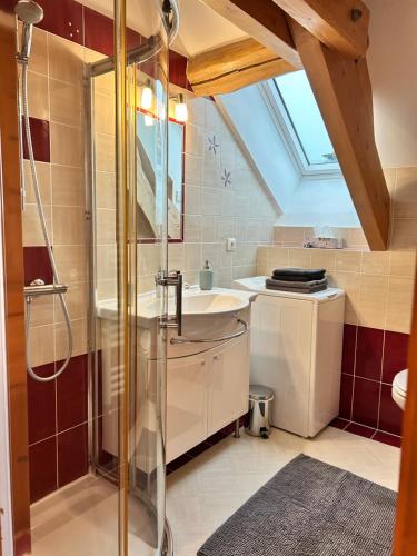ein Badezimmer mit Dusche und Waschbecken in der Unterkunft Apartment thermale luxeuil in Abelcourt