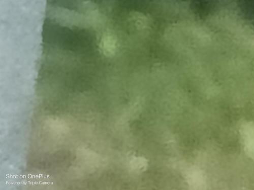 Φωτογραφία από το άλμπουμ του Prince villa σε Rishīkesh