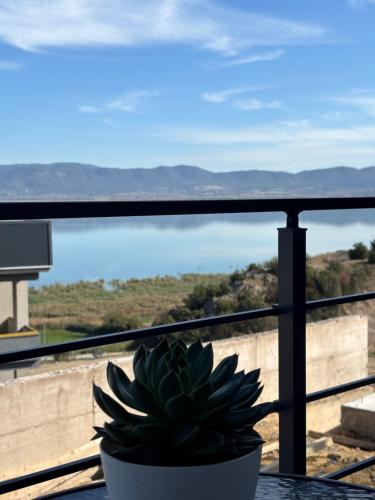 Gallery image of Studio MERAKI in Star Dojran