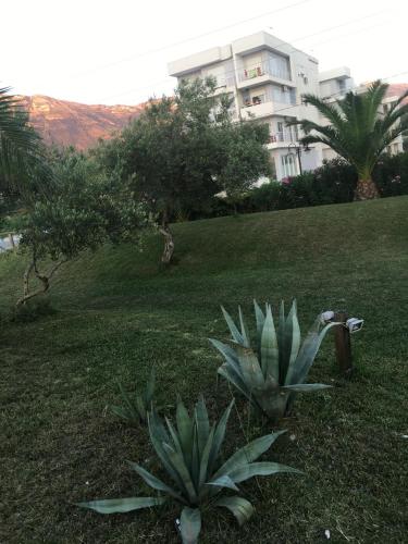Zahrada ubytování Beachfront Apartment