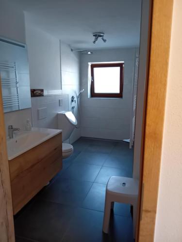 een badkamer met een wastafel en een toilet en een raam bij Panoramahof Breher in Hopferau