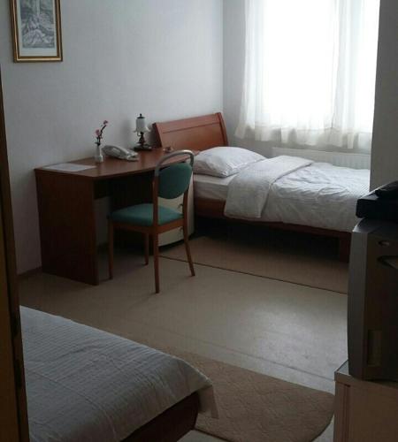 a bedroom with a desk and a bed and a desk and chair at Motel and Restaurant Odušak in Drežnjak