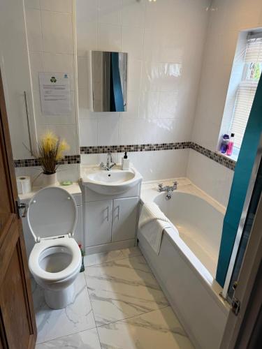 a bathroom with a toilet and a tub and a sink at Flamingo Short Lets Greenleys in Wolverton