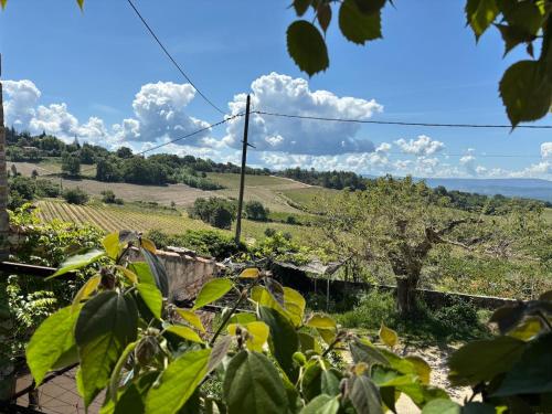 Φυσικό τοπίο κοντά σε αυτή η παραθεριστική κατοικία