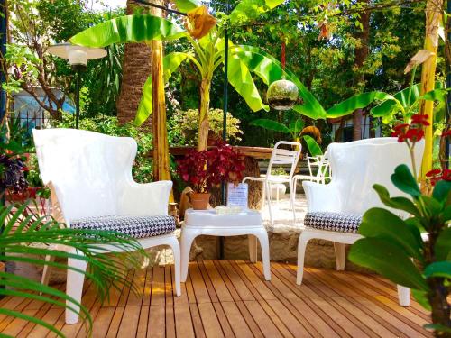 Hotel Villa Rose photo 36