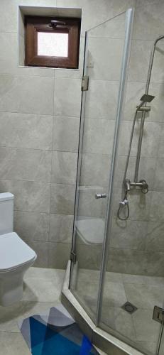 a shower with a glass door in a bathroom at My House in Borjomi