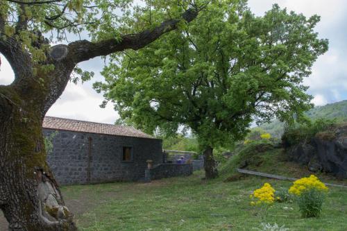 a house and a tree in a yard at Viola Nel Parco in SantʼAlfio