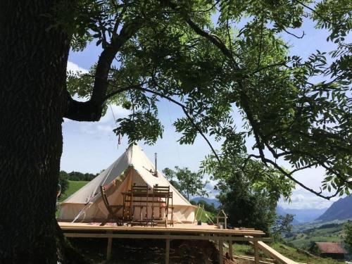 Zeltferien Into The Wäid Zelt Unter Der Esche