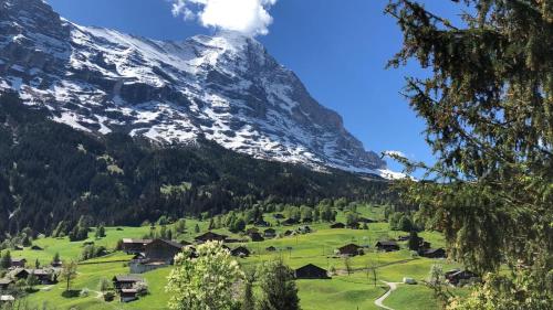 ein Dorf vor einem schneebedeckten Berg in der Unterkunft Gemütliches Chalet zum Alleinbewohnen mit Top Garten & Bergblick, kostenloses WIFI, Ladestation für E-Autos in Grindelwald