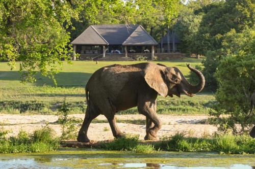 Inyati Game Lodge, Khu bảo tồn Sabi Sand (cập nhật giá năm 2026)