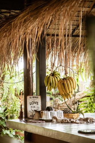 two bunches of bananas hanging from a straw roof at Hideaway, Koh Lipe in Ko Lipe