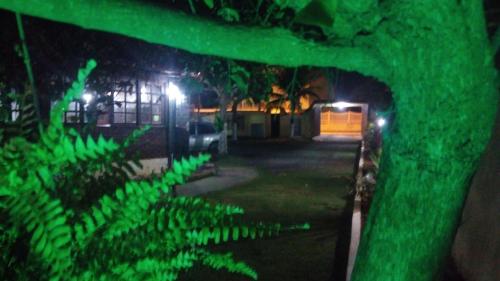 a view of a green tunnel at night at Pousada Solar de Itaúna in Saquarema
