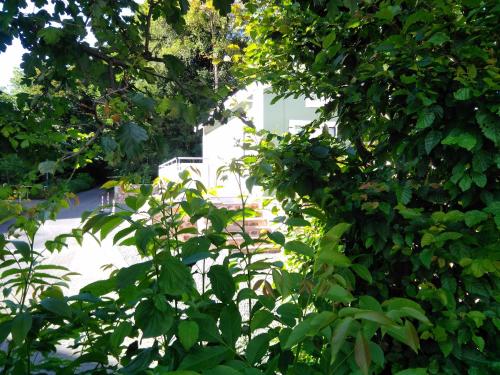 a view of a street through the leaves of trees at Ferienhaus Mit Grill In Bad Marienberg in Bad Marienberg