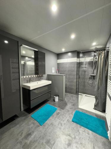 une salle de bain avec une baignoire, un lavabo et une douche dans l'établissement Coeur d'Argonne, à Dombasle-en-Argonne