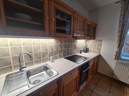 a kitchen with a stainless steel sink and wooden cabinets at Apartmán Černý Důl in Cerny Dul