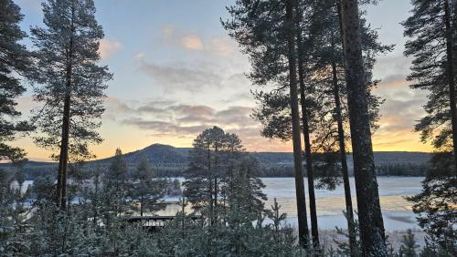 Příroda nedaleko chaty