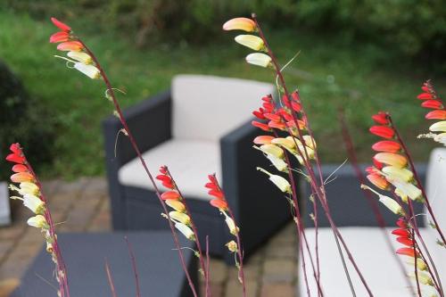 Zahrada ubytování Ferienhaus Am Weiher