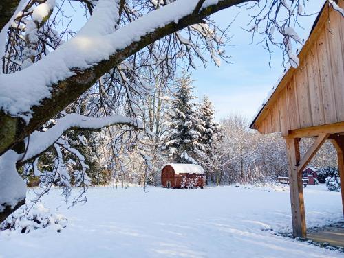 ein schneebedeckter Hof mit einer Scheune und einem Baum in der Unterkunft Chatka zimorodka in Pielgrzymka