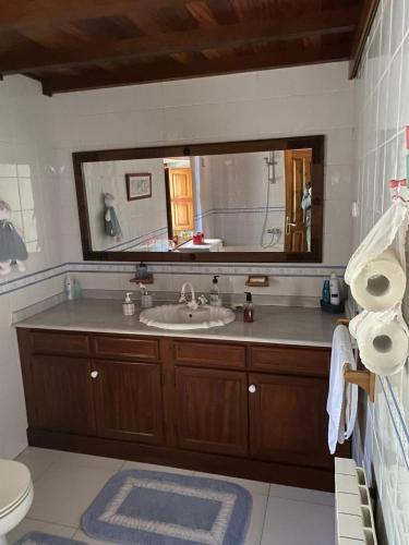 a bathroom with a sink and a large mirror at La Quintana del Sol in Aramil de Arriba