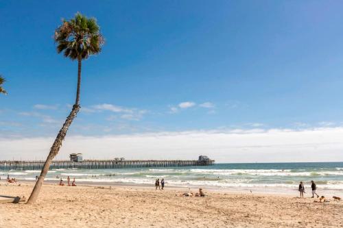 een palmboom op een strand met een pier bij 5N-64 Beachfront On the Strand in Oceanside