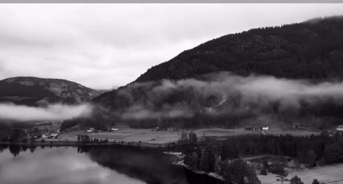 Příroda nedaleko vily