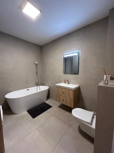 a bathroom with a tub and a toilet and a sink at C&E Apart in Craiova