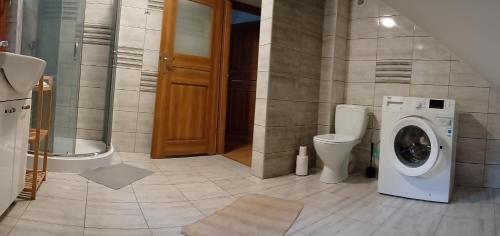 une salle de bains avec lave-linge et toilettes dans l'établissement Domek na Polesiu, à Wola Wereszczyńska