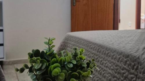 a green plant sitting next to a bed at Rancho com acesso direto ao rio, área verde e lazer completo in Santa Fé do Sul