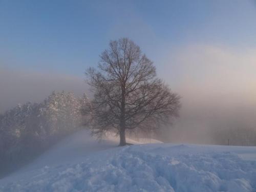 Το Haus Am Sternsberg τον χειμώνα