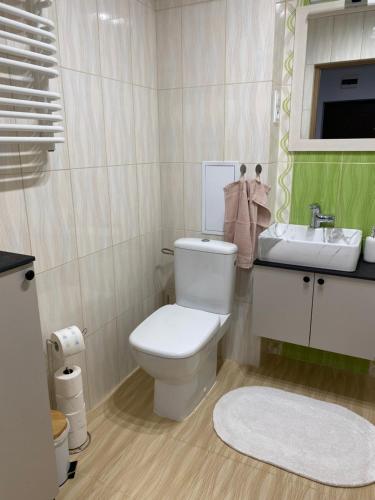 a bathroom with a white toilet and a sink at Apartament Wysoka Brama in Lidzbark Warmiński