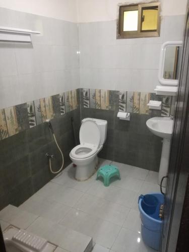 a bathroom with a toilet and a sink at Pinehills Hotel in Dargai