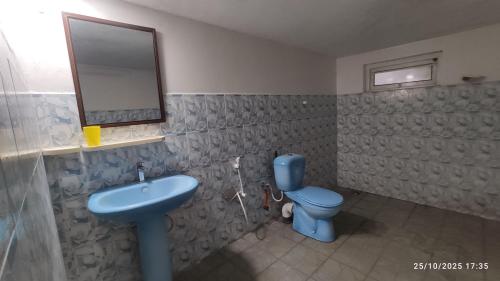 a bathroom with a blue toilet and a sink at EVOKE Hostel Mirissa in Mirissa