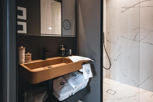 Un baño con lavabo y ducha en Appartements d'exception René & Victoire, en Épinal