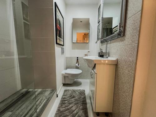 Koupelna v ubytování Apartment Hodo