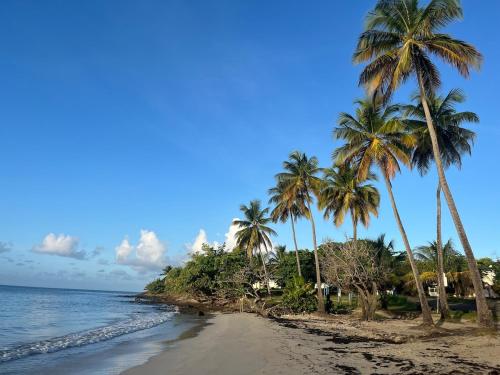 Φυσικό τοπίο κοντά σε αυτό το διαμέρισμα