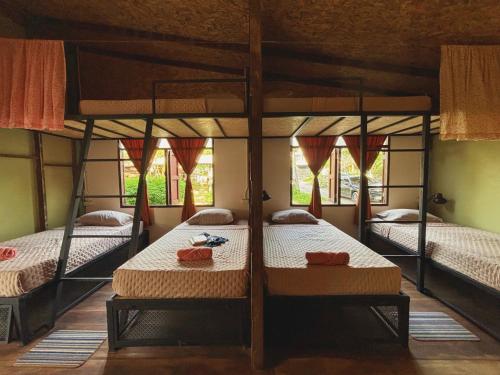 Dos literas en una habitación con ventanas. en Sanctuary Hostel - Art & Adventure, en Phra Ae beach