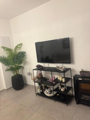 Una televisión o centro de entretenimiento en Dudger apartment