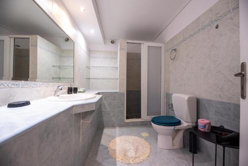 Aelora House Near Athens Airport By SEM
