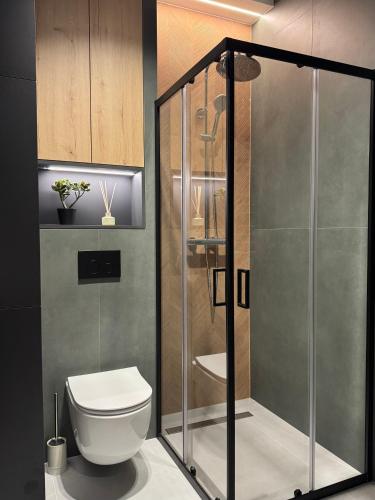 a bathroom with a toilet and a glass shower at Apartament Wileńska 2 in Słupsk