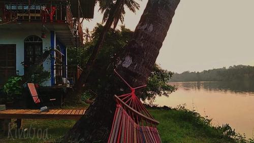 a tree with a red rope around it next to a house at RivoGoa riverside Homestay in Bardez