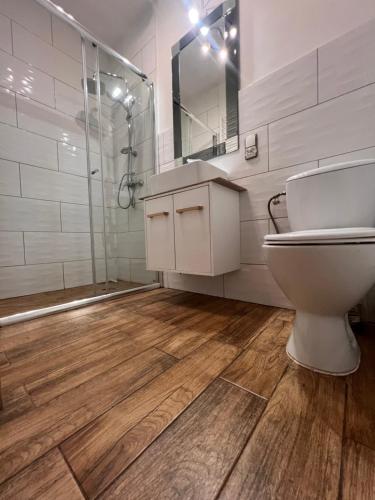 a bathroom with a toilet and a shower and a sink at Louis Apartaments in Skorka