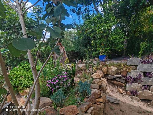 Vườn quanh Hill 60 Cottages