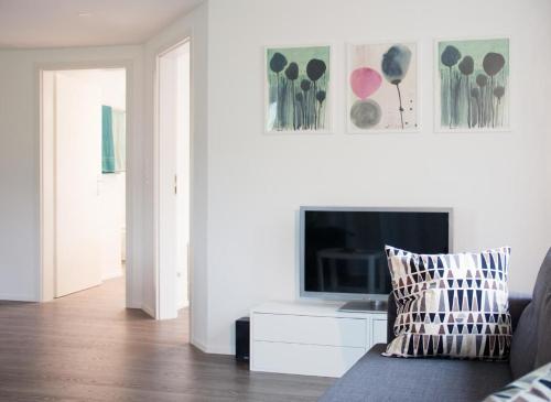 TV/trung tâm giải trí tại Ferien Im Toggenburg