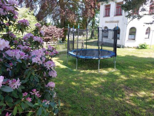 O grădină în afara Top Ferienwohnung in der Natur