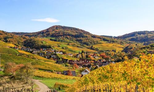 Příroda nedaleko apartmánu