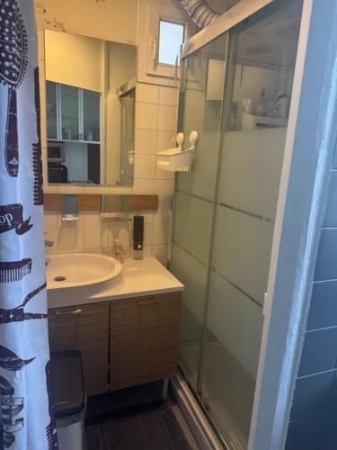 a bathroom with a sink and a mirror at Cute appartement in Boulogne-Billancourt