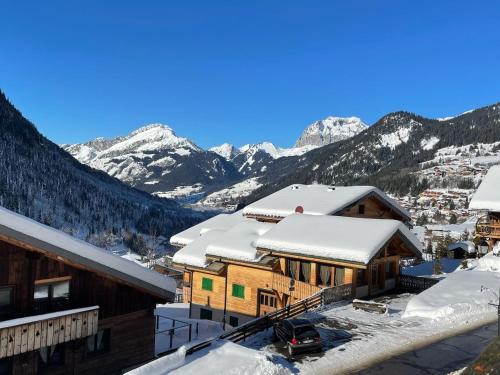 Studio confortable au centre de Châtel avec parking
